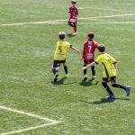 Democracia x Terrão